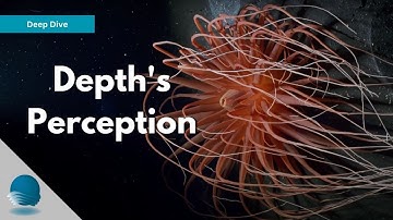 Deep Dive: Depth