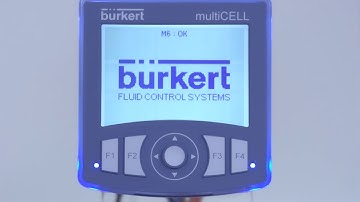 8619  PRIMEROS PASOS 1/3