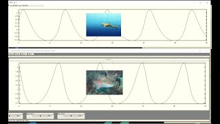 Famous Time Delay Embedding for Marine Ecology Data Net Worth