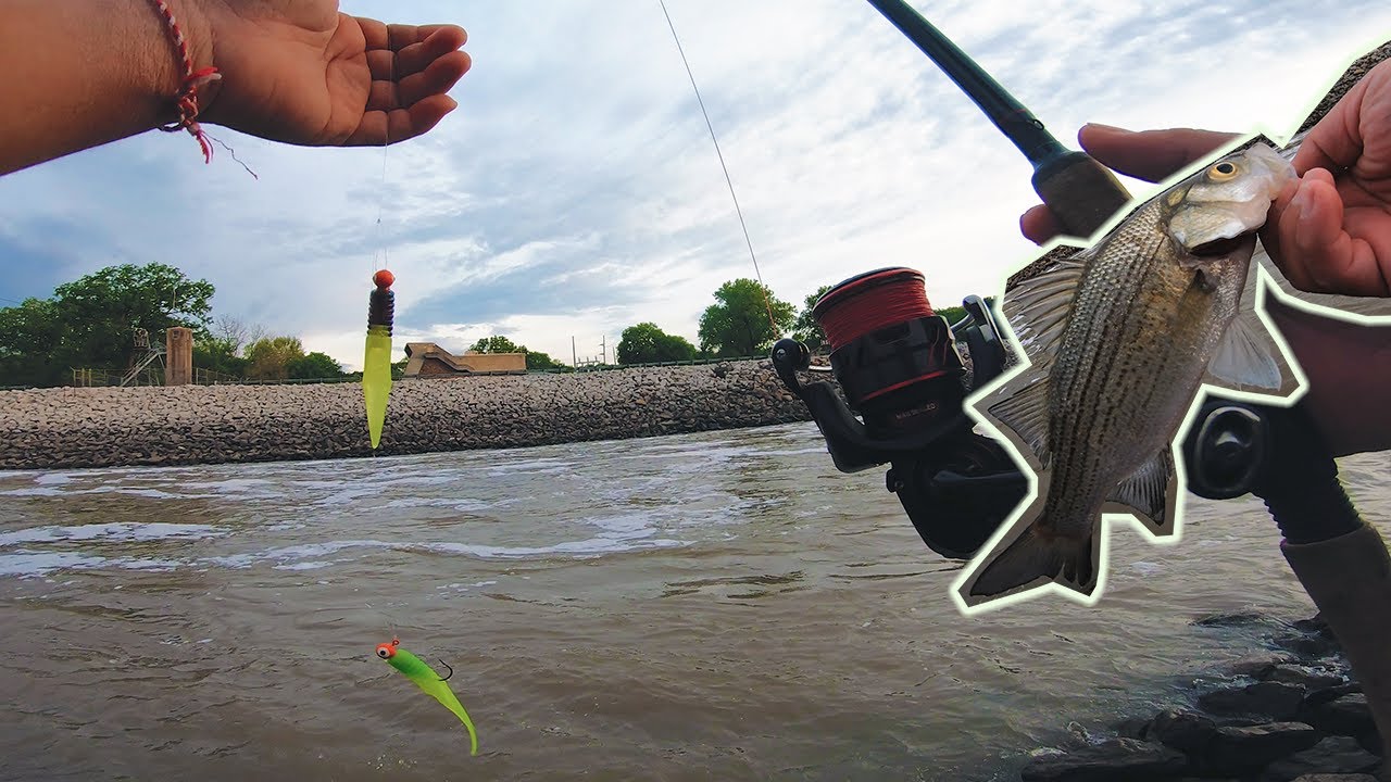 Double Crappie Jig Rig Setup for White Bass