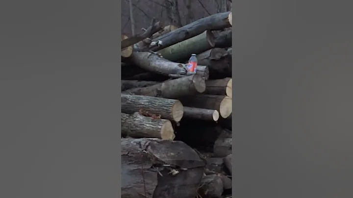 Pallet Gun versus Snapple