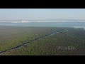 Vikhroli mangroves drone view