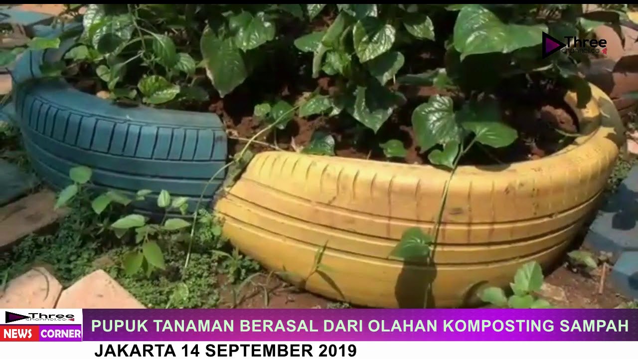 Edukasi Go Green Kelurahan Penjaringan Inisisi Taman Herbal Untuk Warga