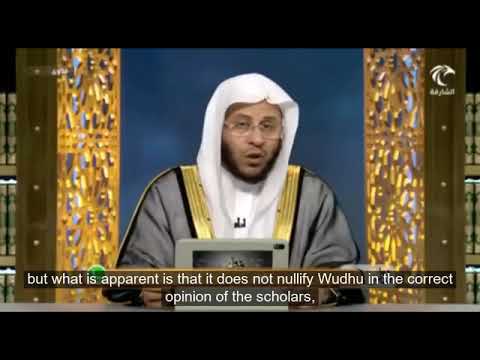 هل غسل الطفل أو لمس عورته ينقض الوضوء؟ | الشيخ د. عزيز فرحان