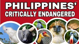 Philippines Critically endangered species (Animals) Department of Environment and Natural Resources