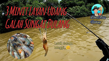 Memancing Udang Galah Sungai Dulang Teluk Intan #Teluk Intan # perak