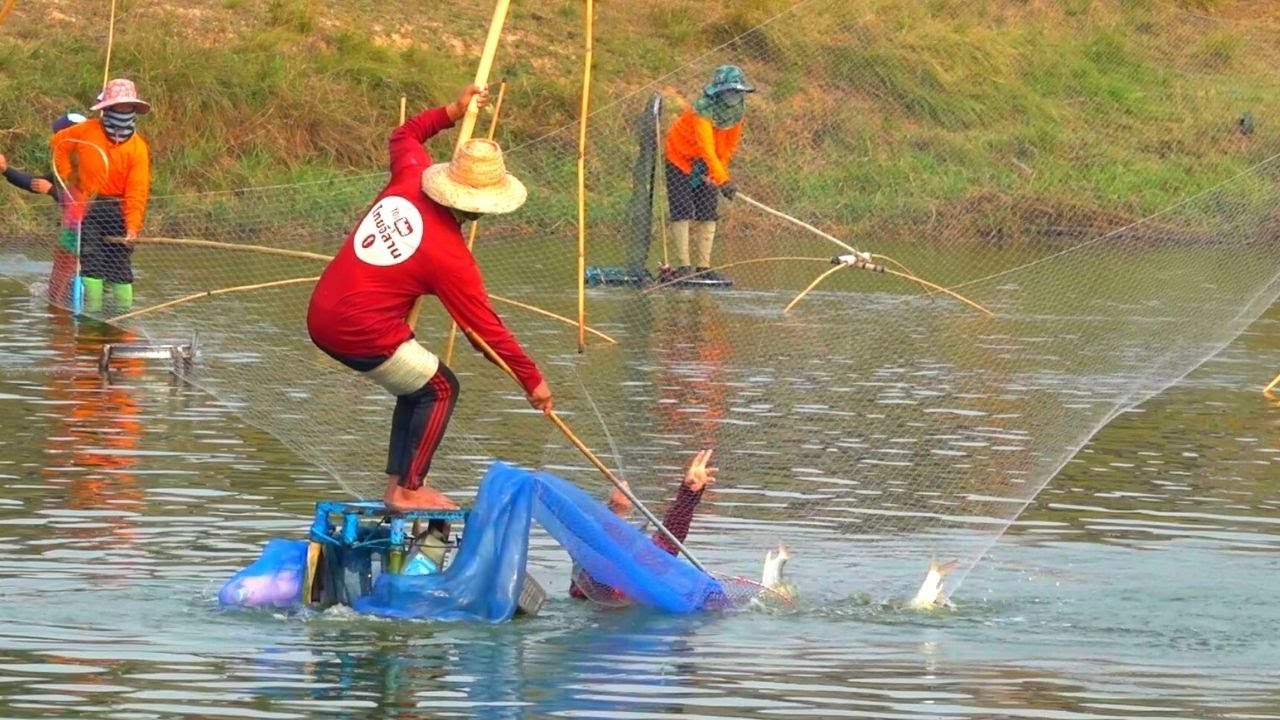 ยกยอหนองยางคำ  ถึงหนองจะเล็กแต่ปลาไม่เล็กนะครับ