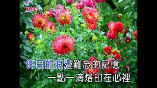 我的快樂就是想你 卡拉ＯＫ