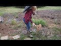 Caring for Dixie the Deer & Friends in a Storm