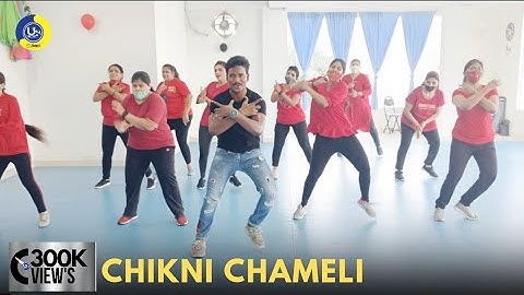Chikni Chameli | Dance Video | Zumba Video | Zumba Fitness With Unique Beats