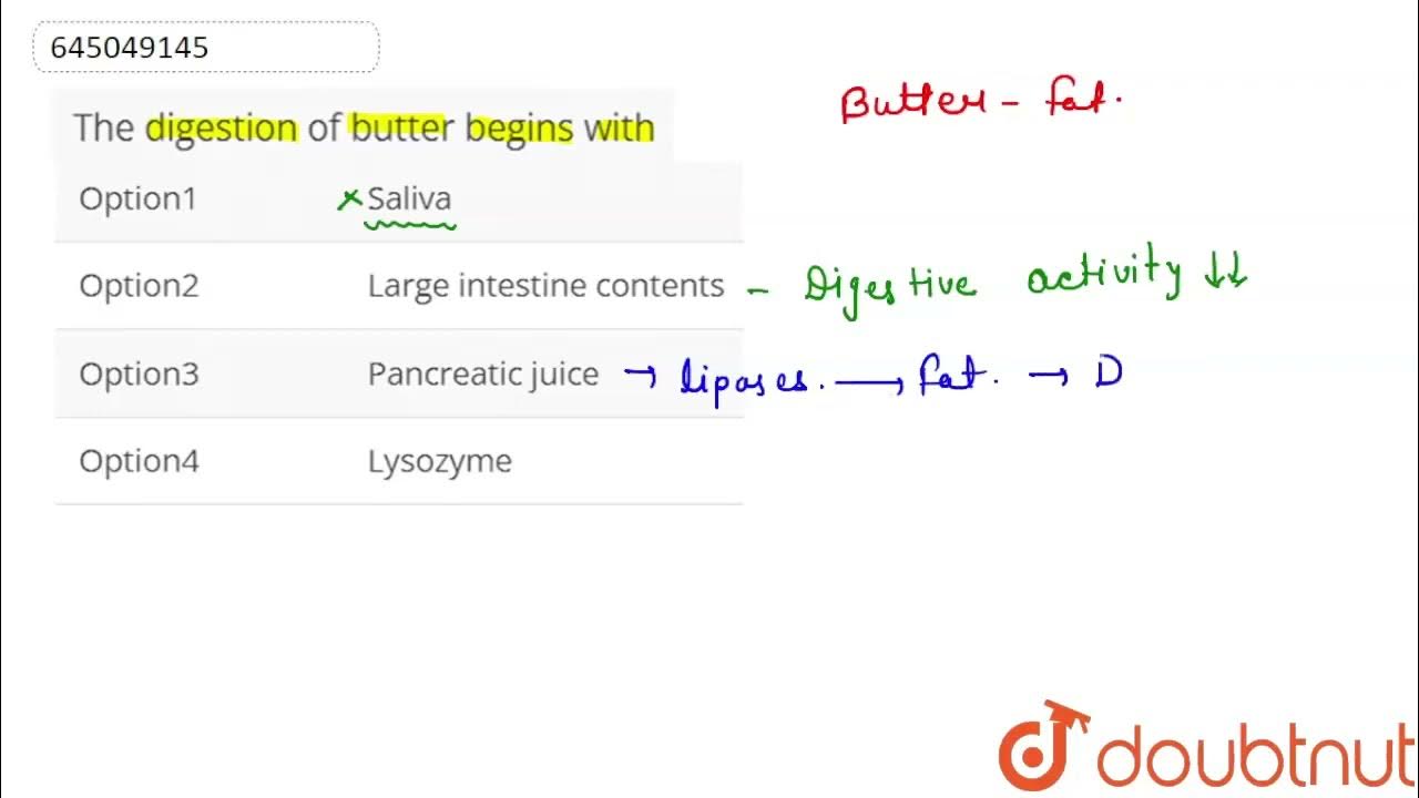 The digestion of butter begins with CLASS 12 DIGESTION AND