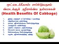 முட்டைக்கோஸ் சாப்பிடுவதால் கிடைக்கும் ஆரோக்கிய நன்மைகள் | Health Benefits Of Cabbage