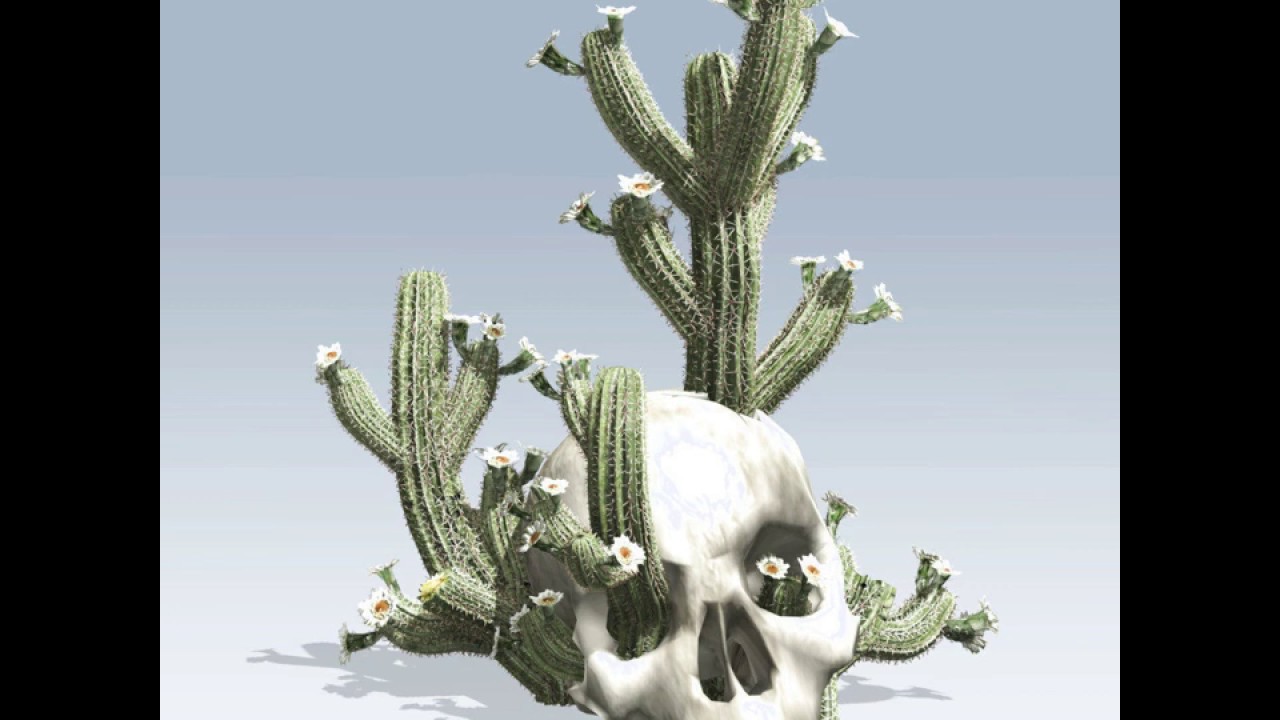 d0m, Seb, R4ZV4N, greecs - nimeni nimic