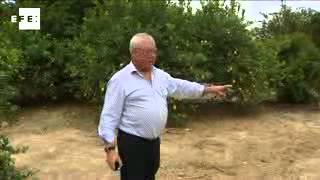 Aparecen enterrados los cuerpos de los holandeses desaparecidos en Murcia
