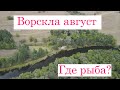 ВОРСКЛА август 2021. Где рыба? Подводная охота, попытка.