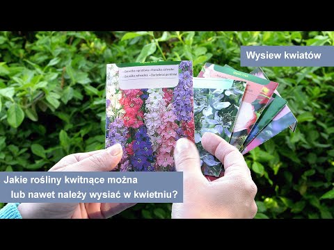 Wideo: Wieloletnie Kwiaty W Kwietniu