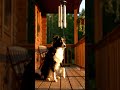 Wind Chime Orchestra