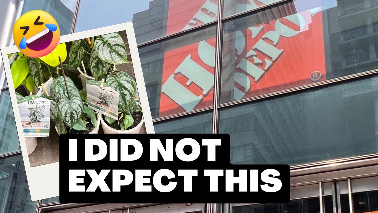 plant shopping at Home Depot Manhattan! Come see what we find😅 YouTube