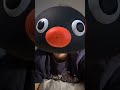 noot noot #pingu #funny #instagram #tiktok #lgbt #nonbinary #good #live