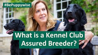 What is a Kennel Club Assured Breeder?