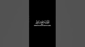 كرومات ايات قرانية شاشة سوداء || سورة البقرة للقارئ #رعدالكردي #سورة_البقرة #سبحان_الله_وبحمده