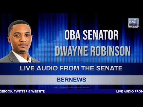 Audio | OBA Senator Dwayne Robinson On Emigration, Feb 14 2024