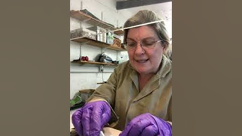 28. Earthslides: The Art of Thin sectioning. Permanent mounting Part 1.