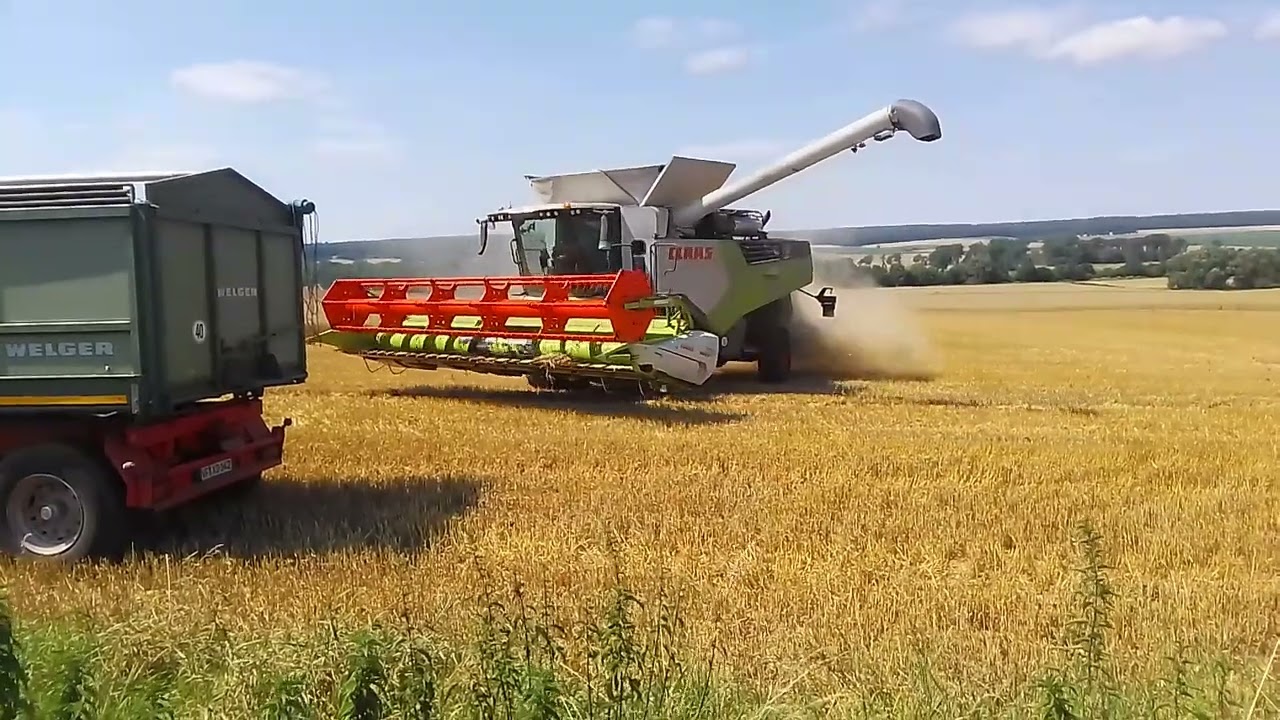 Claas Trion 750 beim Weizen dreschen