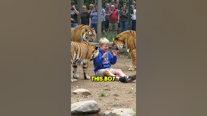 This Boy Made the Worst Mistake of His Life…