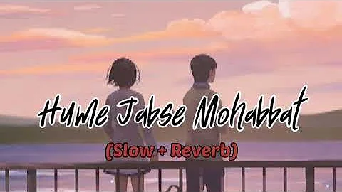 Hume Jabse Mohabbat Ho Gayi Hai Lofi Slow x Reverb