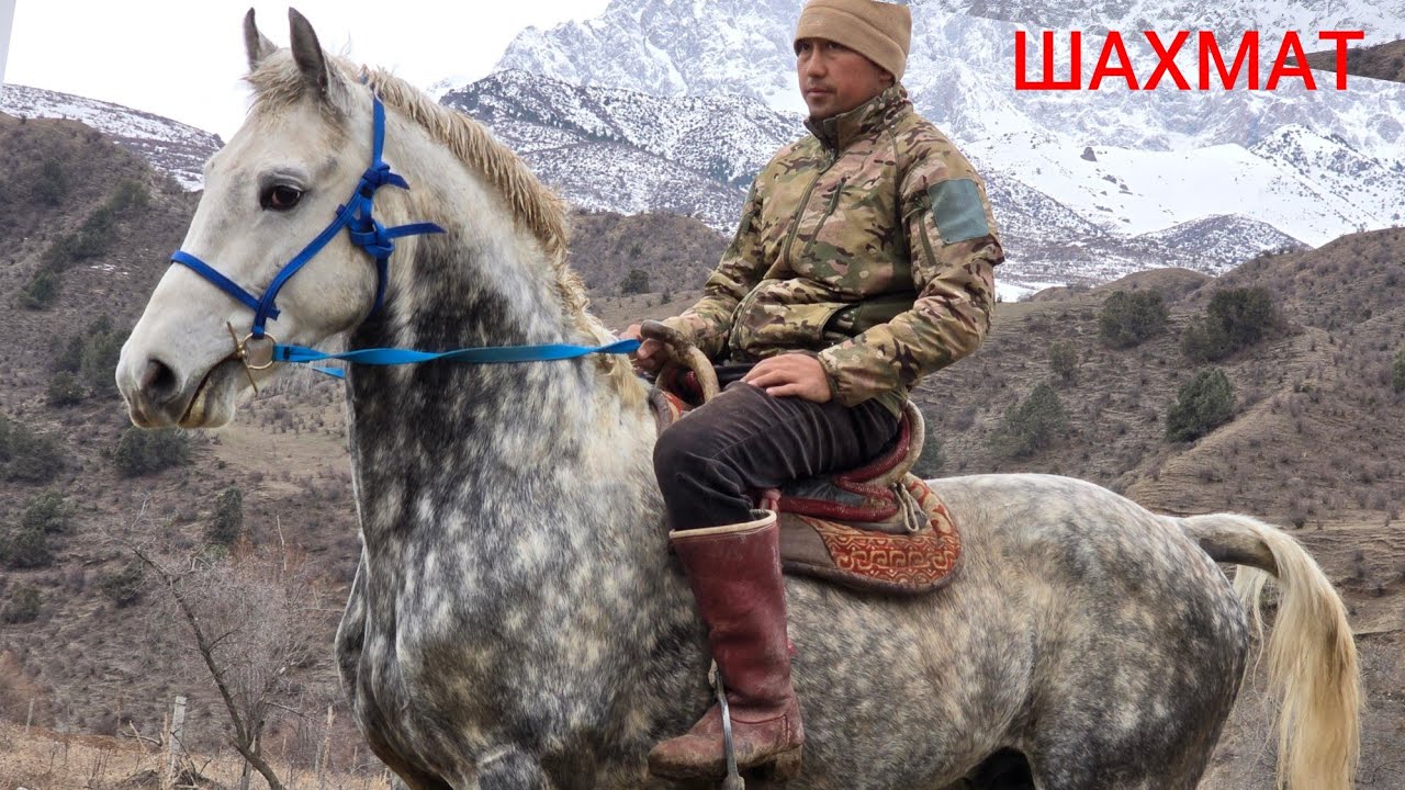 ШАХМАТ   Калыбекте Лаглан айылы 