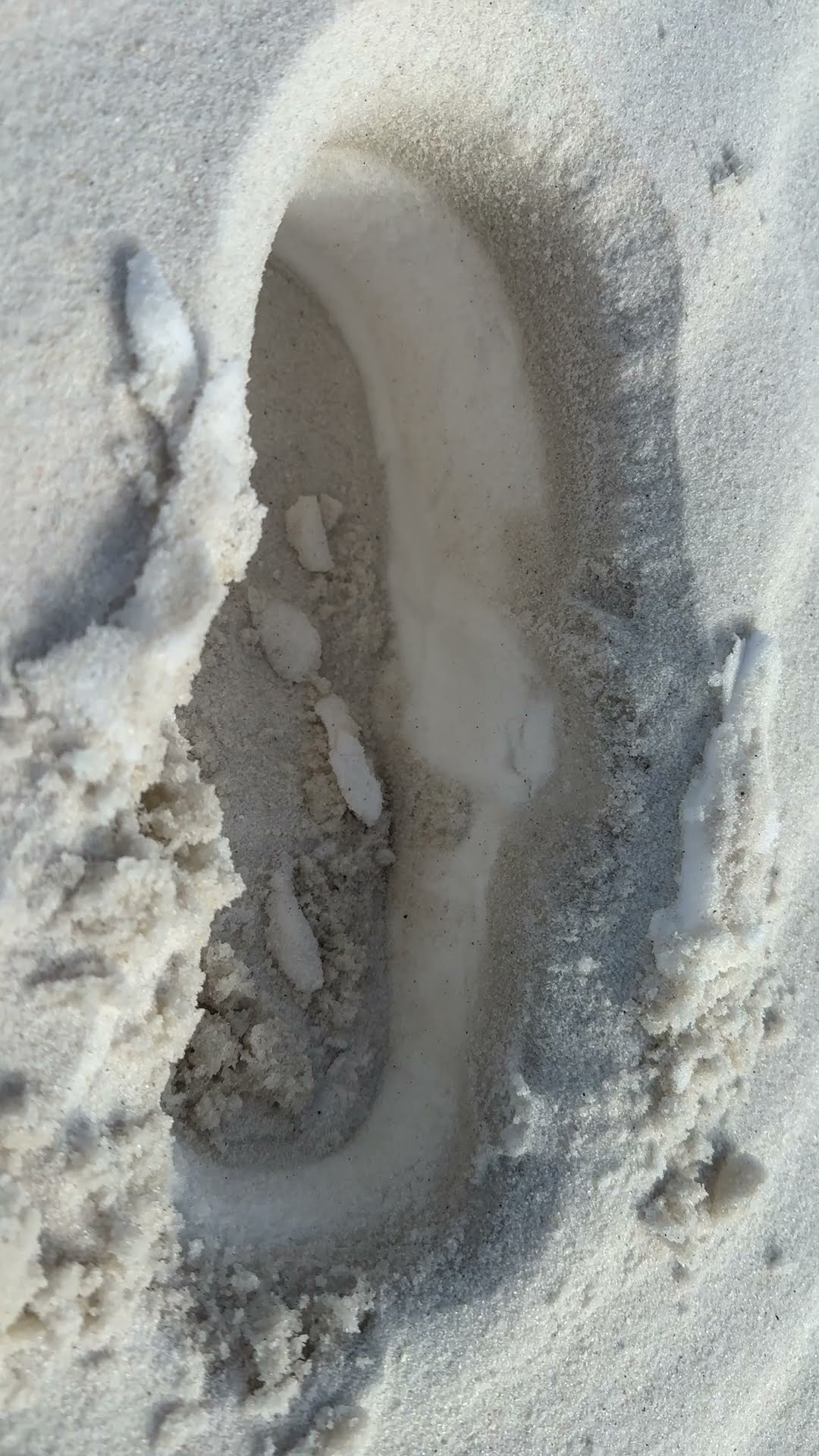 Snow Found Beneath Sand After Record-Setting Florida Snowfall || ViralHog