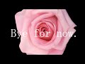 TAKE NO BREAK / "Bye for now" (Lyric Video)