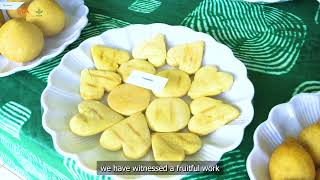 Sowing Seeds Of Partnership Ethiopia And Iita Explore New Frontiers In Agricultural Innovation