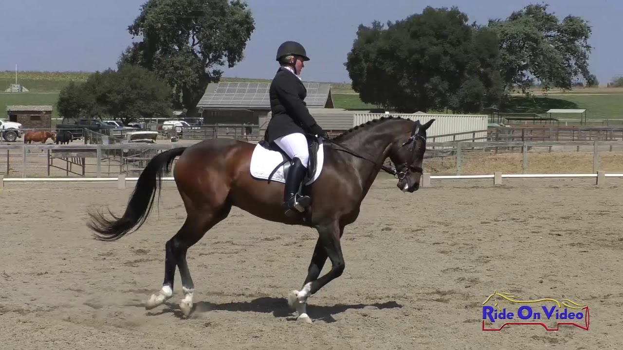 horseshoe bend 131D Tayler Ravenscroft on Rise Against Open Training-Novice Dressage Shepherd Ranch August 2019