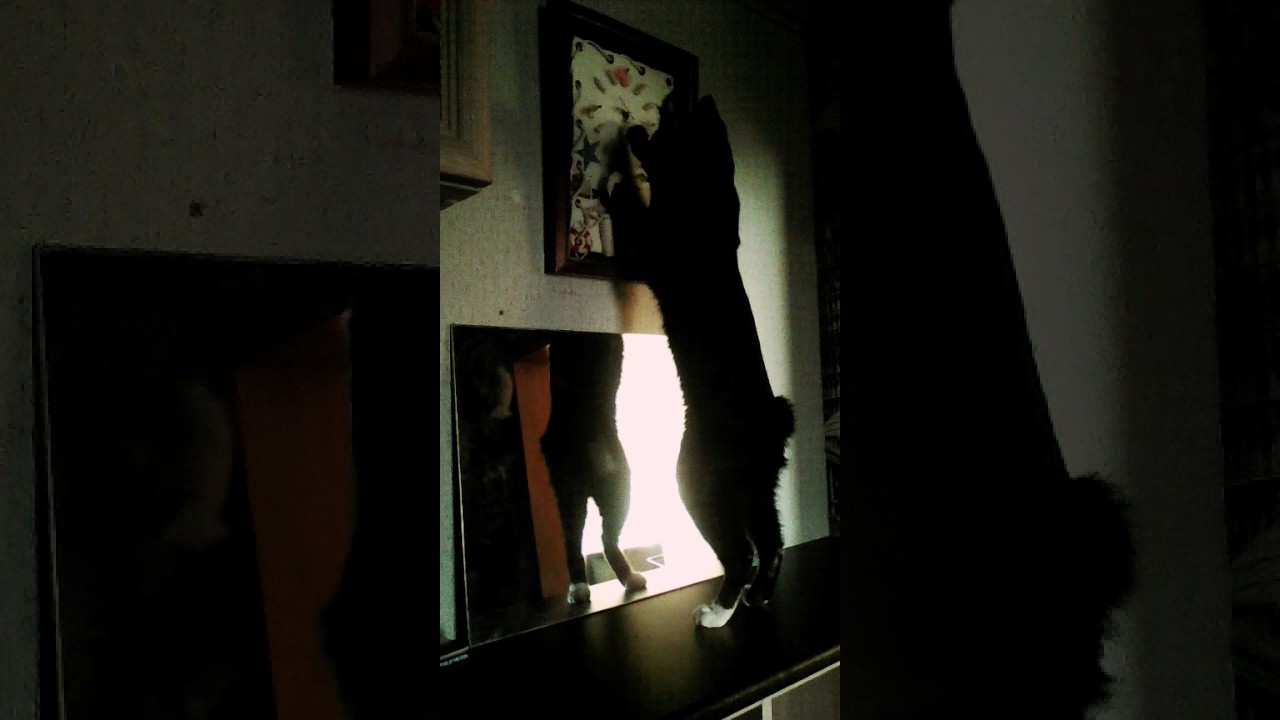 8 Август 2017 г.