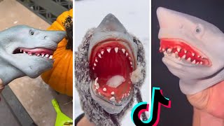 Best of SHARK PUPPET TikTok Compilation 🤣 Funny Shark Puppet TikToks of 2024!