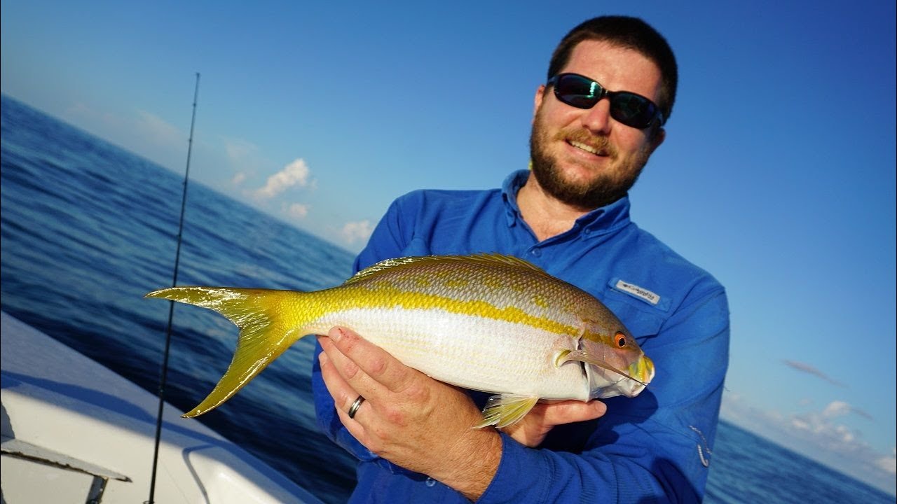 6 Yellowtail Snapper Fishing Tips to Help You Catch More Fish