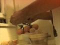 Fresh Squeeze OJ