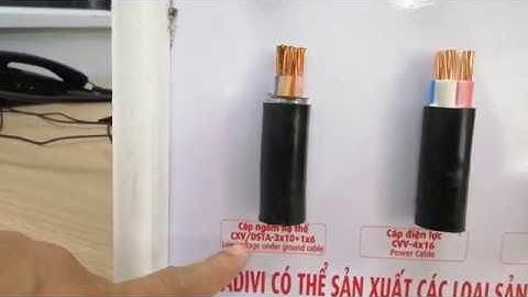 Cáp CADIVI CXV/DSTA - 3X10+1X6 mm2 - Cáp Ngầm Hạ Thế