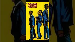 This Is Who Made Bob Marley And The Wailers Huge