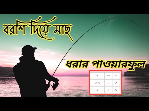 ভিডিও: আপনি কি সাধারণ রড দিয়ে মাছ উড়তে পারেন?