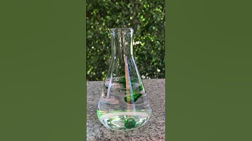 The Conical Flask: A Must-Have Tool for Every Scientist