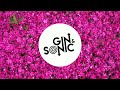 Miley cyrus  flowers gin and sonic remix  house tech house deep house