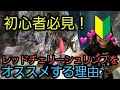 初心者必見‼エビ飼うならまずはレッドチェリーシュリンプをオススメする理由! アクアリウム 水槽