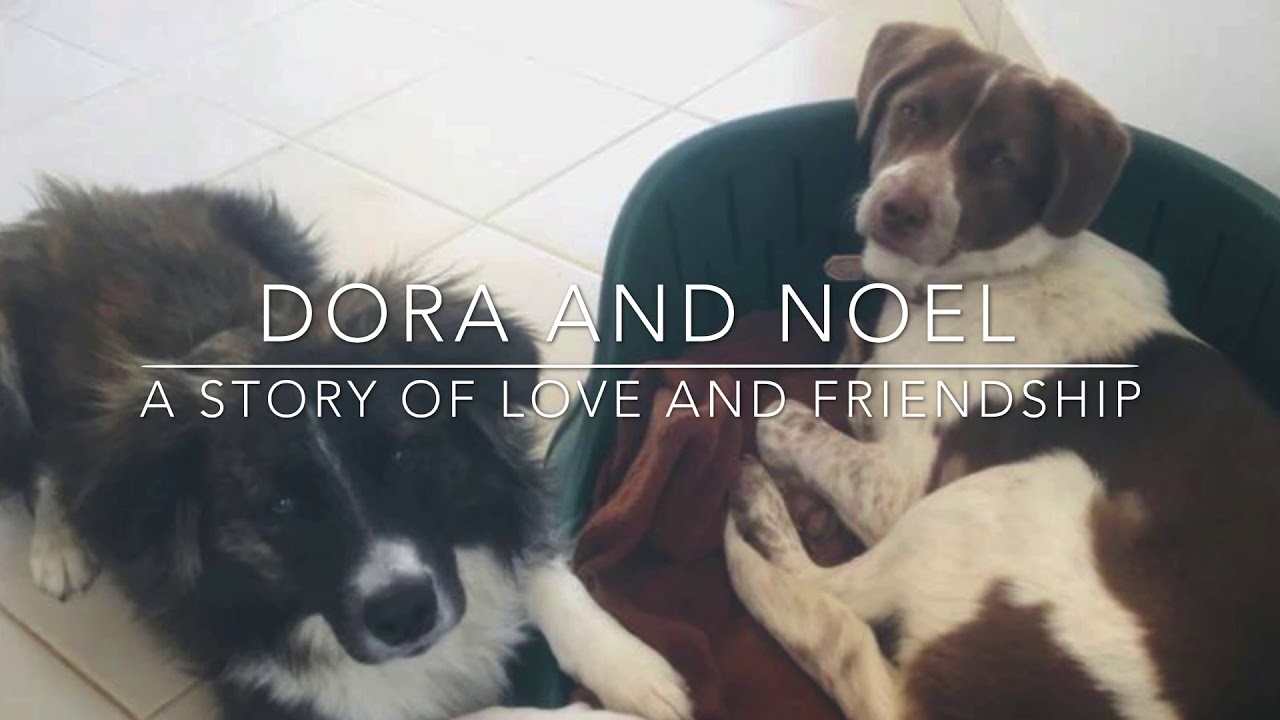 Dora and Noel: a story of love and friendship
