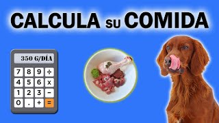 ✔ Cómo CALCULAR la ración DIARIA de COMIDA BARF para tu PERRO