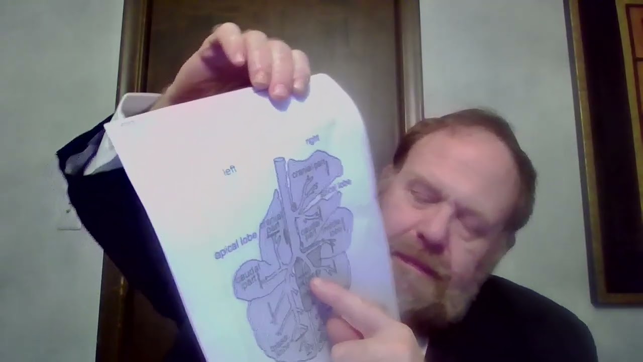 Arukh HaShulchan YD 35.25-29 Supplemental Day 198