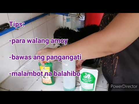 Video: Sa Shampoo O Hindi Sa Shampoo Iyong Aso? Iyon Ang Tanong