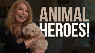 Vegan Since 1986; Teaching Children to be Heroes! 'We Need an Animal Hero World' Susan Hargreaves by VeganLinked 1,151 views 2 weeks ago 1 hour, 41 minutes